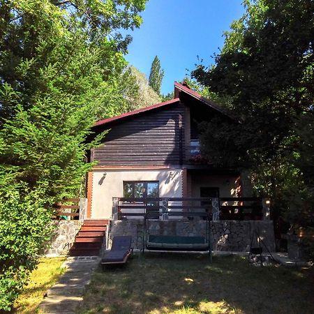 Mountain Family Chalet On Prahova Valley كومارنيك المظهر الخارجي الصورة