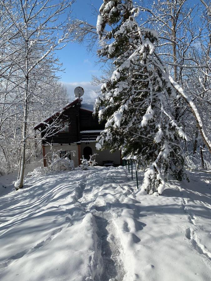 Mountain Family Chalet On Prahova Valley كومارنيك المظهر الخارجي الصورة