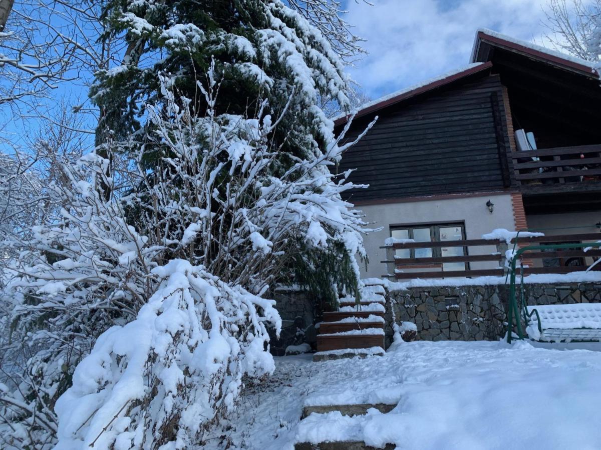 Mountain Family Chalet On Prahova Valley كومارنيك المظهر الخارجي الصورة