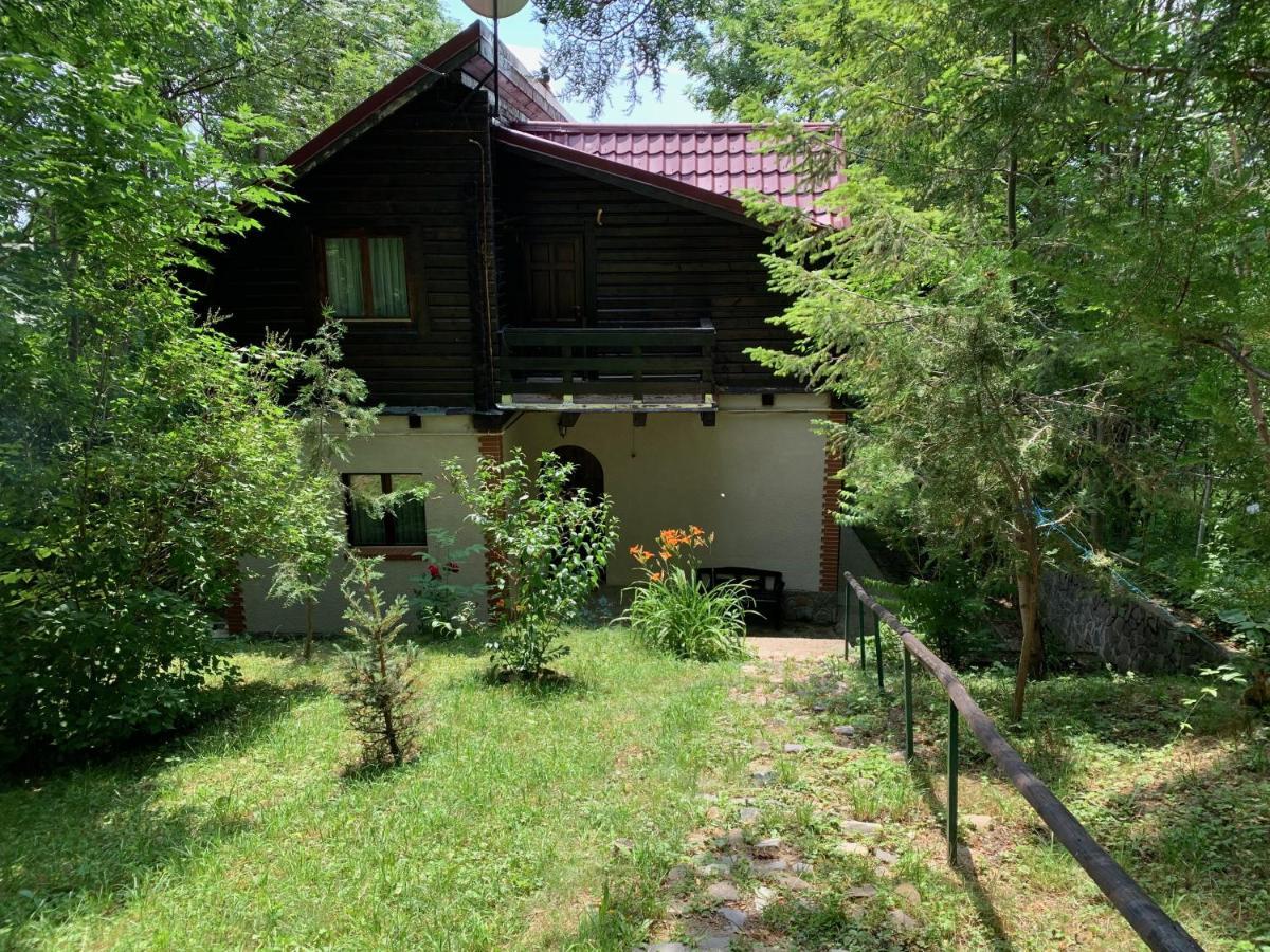 Mountain Family Chalet On Prahova Valley كومارنيك المظهر الخارجي الصورة