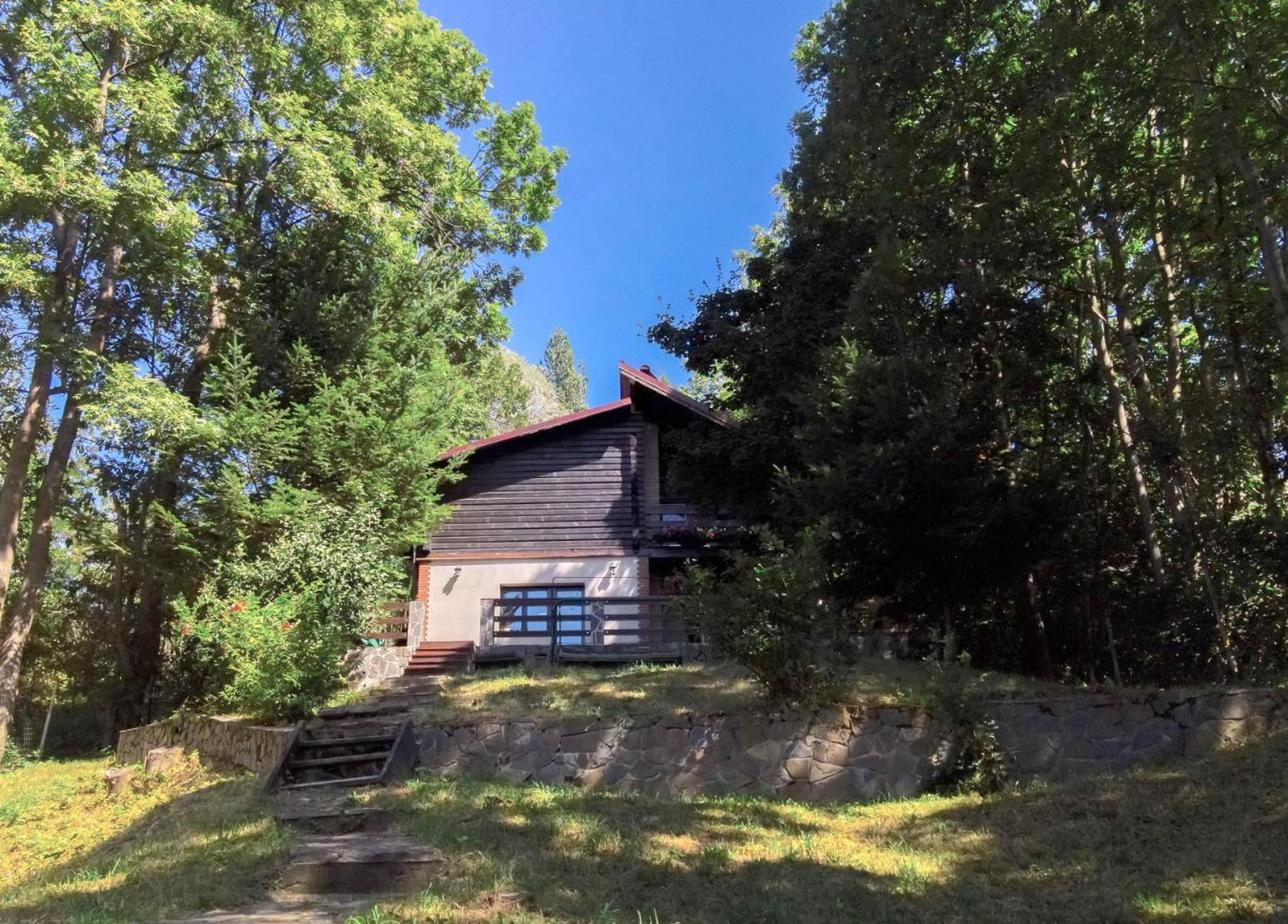Mountain Family Chalet On Prahova Valley كومارنيك المظهر الخارجي الصورة